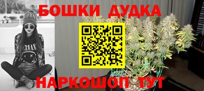 мдпв Будённовск