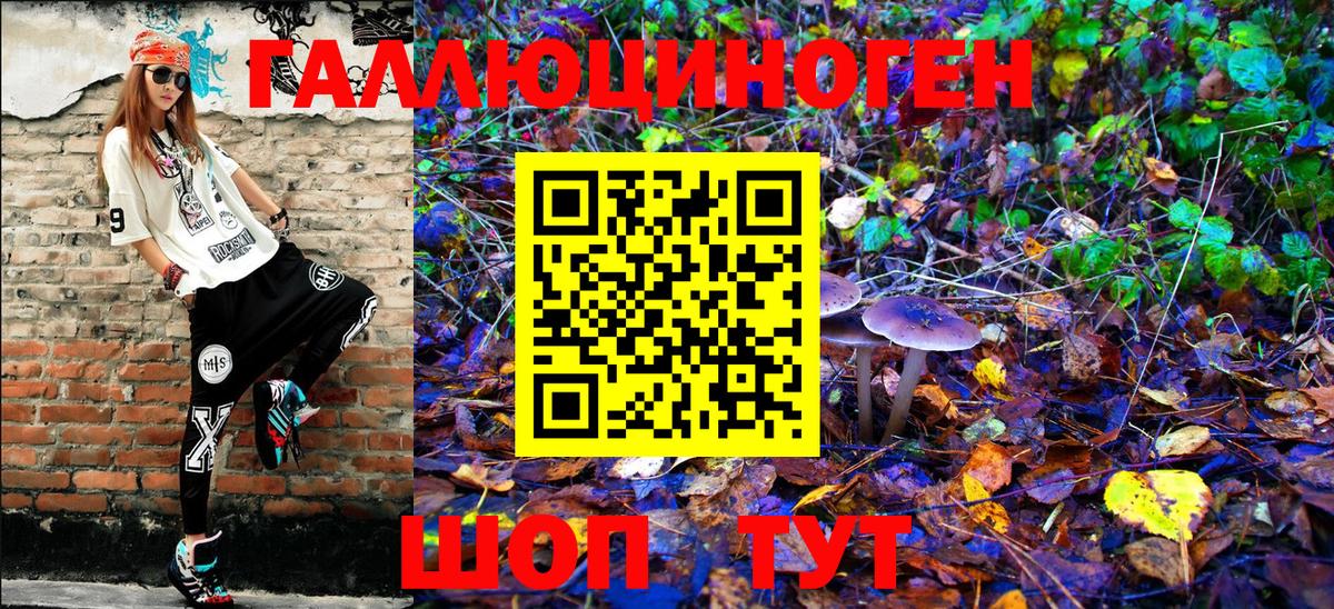 Псилоцибиновые грибы MAGIC MUSHROOMS  Вход с VPN  Тверь  Псилоцибиновые грибы Psilocybine cubensis 